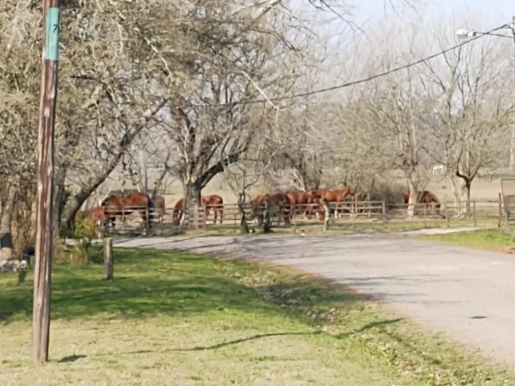 ALQUILA CASA 5 AMBIENTES -PILETA EN BARRIO CERRADO SAN JUAN. - Foto 14