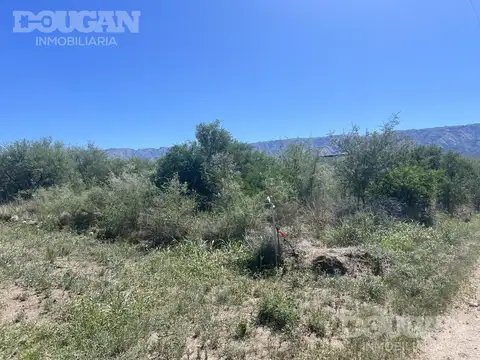 Terreno en venta en Udacha Carpinteria