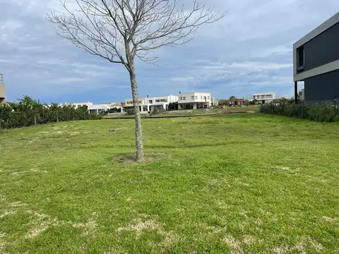 Excelente lote a agua en venta   Barrio consolidado