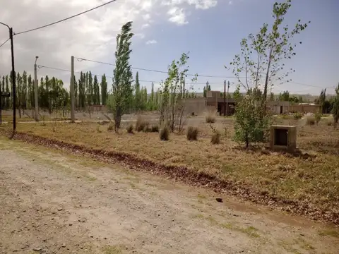 Terreno / Lote en venta Barrio Los Frutales, Neuquen