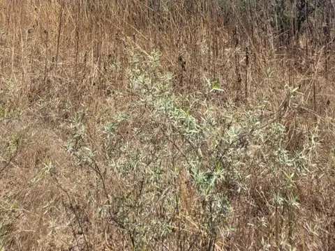 Oportunidad de Inversión en Circunvalación Oeste