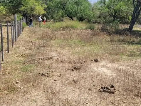 Circunvalación Oeste