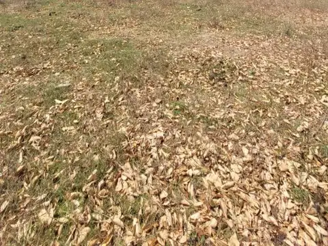 Oportunidad de Inversión en Circunvalación Oeste