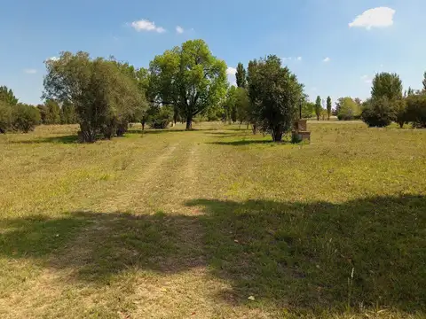 Terreno en Venta 33  mts Frente