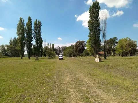 Los Girasoles de Luján