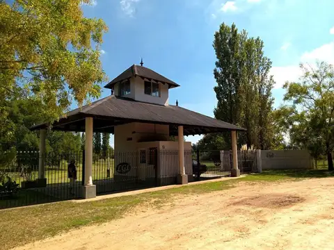 Los Girasoles de Luján