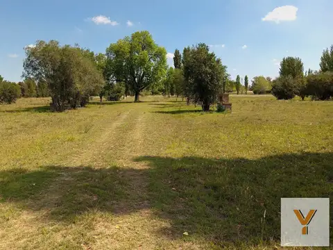 Terreno en Venta 33  mts Frente