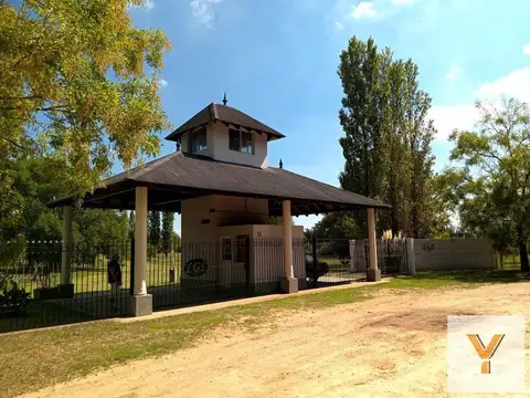 Los Girasoles de Luján