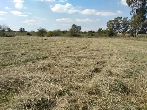 LOTE A LA VENTA EN BRANDSEN