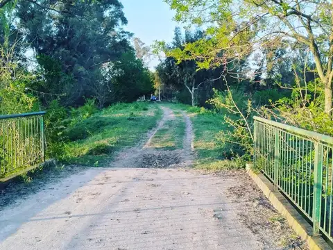 Aristóbulo del Valle 1300