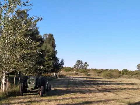 Aristóbulo del Valle 1300