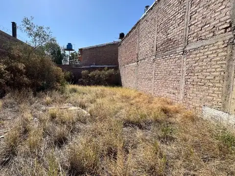 Juan Pederner 2900