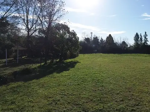 Miguel De Unamuno 590