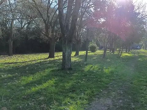 Miguel De Unamuno 590