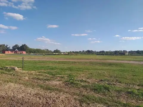 La Pista  1015