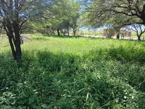 Terreno en Venta de 950,0 m2