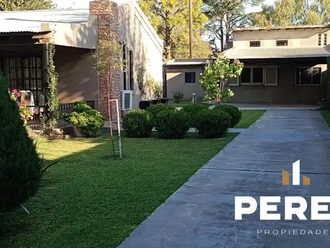 Lemos 50