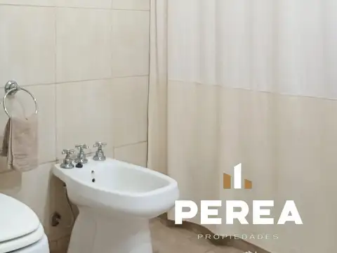 Lemos 100