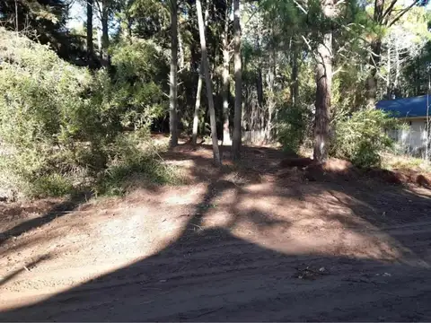 Terreno en Venta en Carilo, USD 110.000
