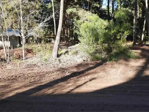 Terreno en venta - 1.086Mts2 - Cariló