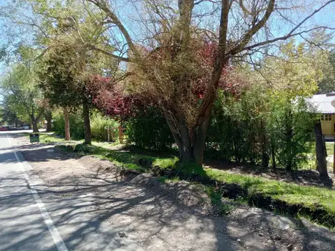 Av. del Sol 100