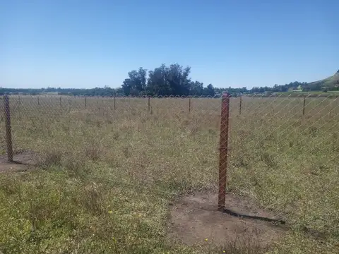 Terreno en Venta de 1000,0 m2