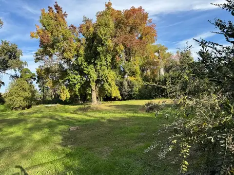 Terreno en Venta en Los Pinos, USD 50.000