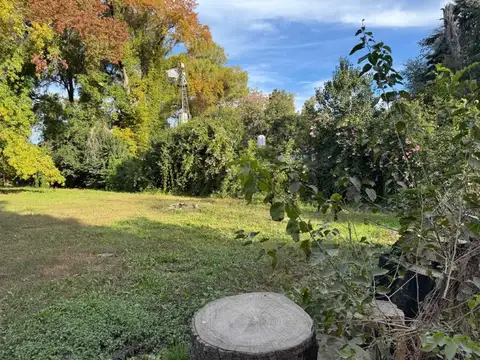 Terreno en Venta 36  mts Frente