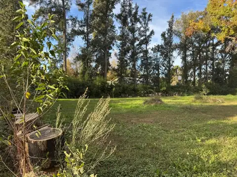 Lote increíble en Los Pinos