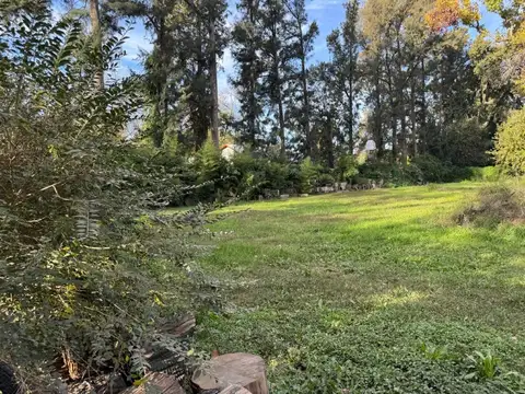 Terreno en Venta 65  mts Fondo