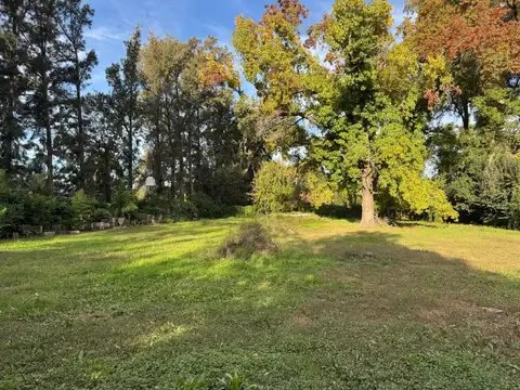 Terreno en Venta de 2356,0 m2