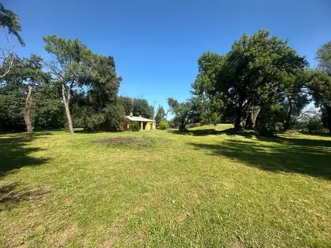 Carlos de Linneo 100