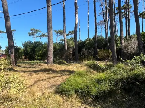 Terreno en Venta de 500,0 m2