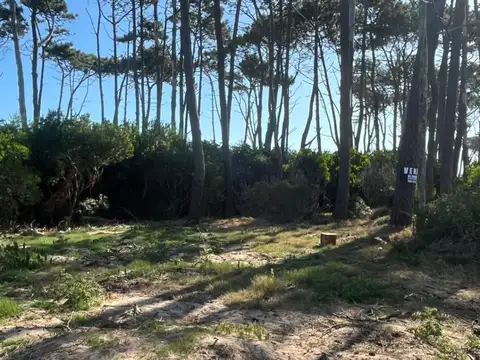 Terreno en Venta en Ocean Park, USD 80.000