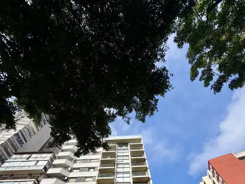 Dorrego 2600