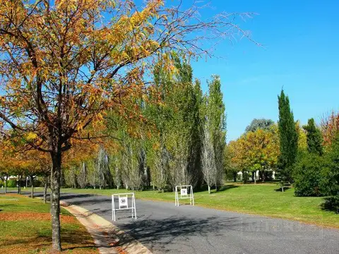 Terreno en Venta en Pilar del Este - San Ramiro, USD 24.000