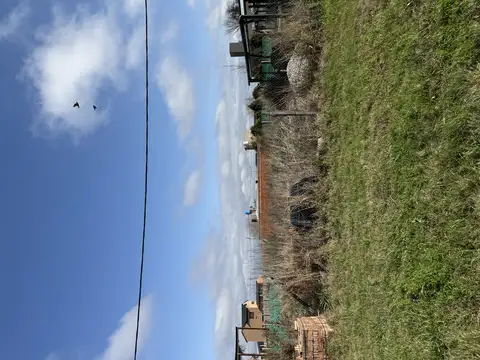 Neuquen 100