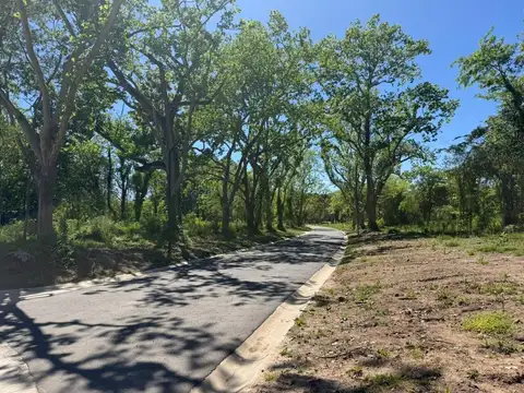 Terreno en Venta de 714,0 m2