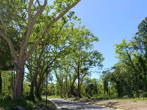 LOTE EN RESERVA FINCAS-BERAZAREGUI