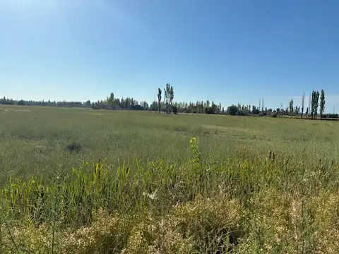 VENTA DE CHACRA CERVANTES - ESQUINA