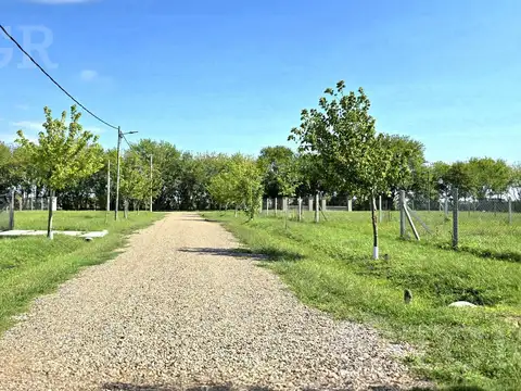 Lote en venta en barrio Estilo Campo Canning