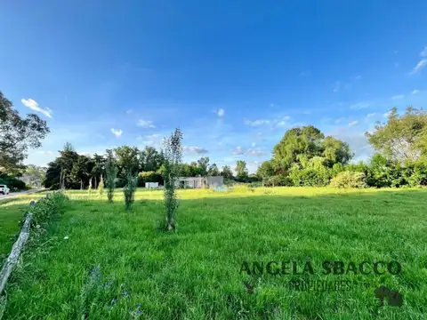 Tala, Parque Jularo.