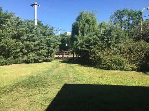 Consultar dirección