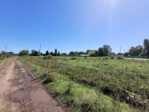 Campo en Venta de 3  ha