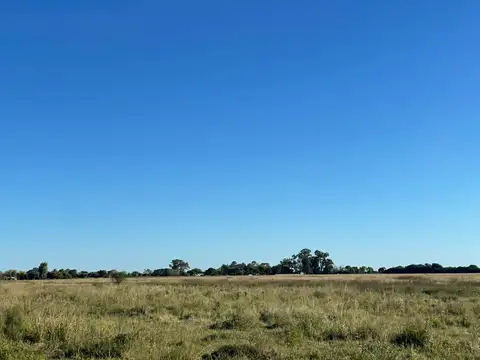 ruta 1