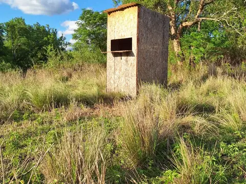 VENTA- CAMPO “LA BUENAVENTURA”– 100 HAS- VILLA TULUMBA