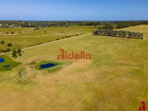 Ruta Inter balnearia Km 108. Punta del Este,