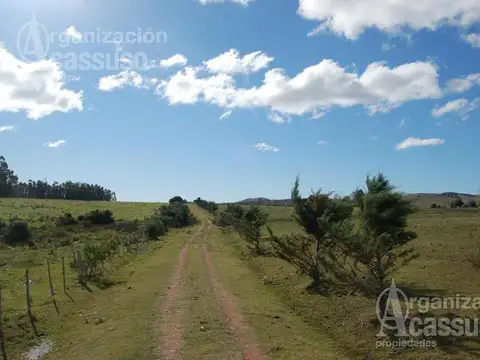 camino a zanja de chavez