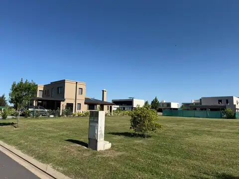 av arturo illia  al 300