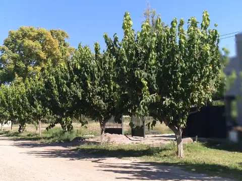 Terreno en Venta en Chacras de Coria, USD 110.000